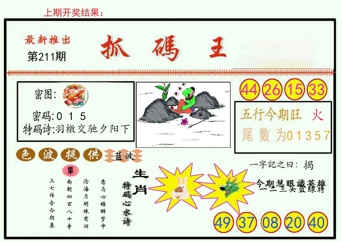 最新抓码王 第211期