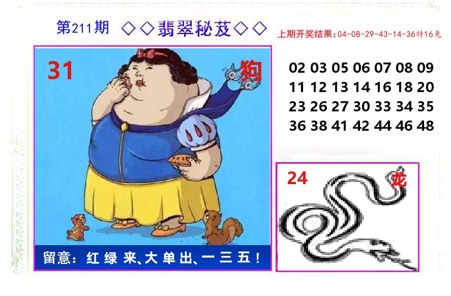 翡翠秘芨 第211期