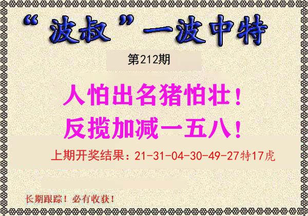 波叔中特 第212期