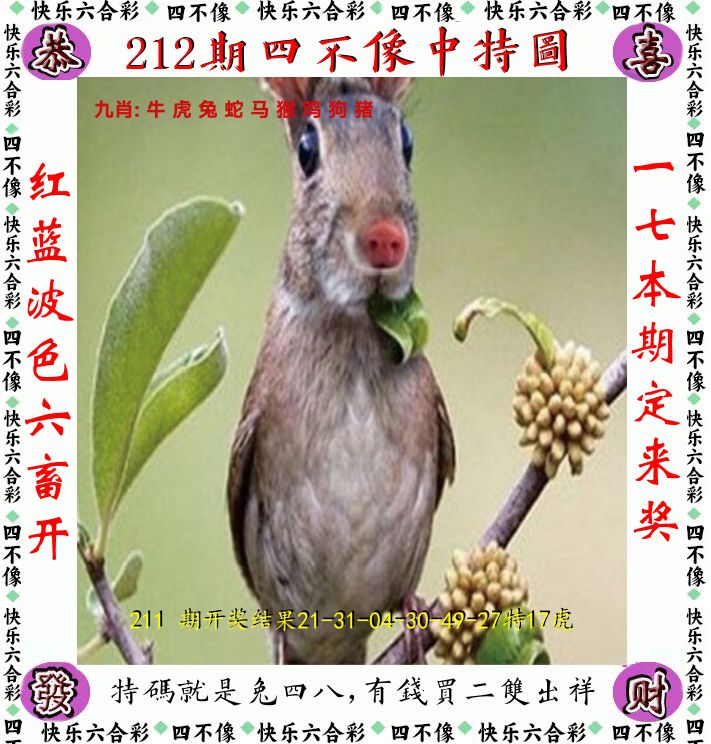 四不像 第212期