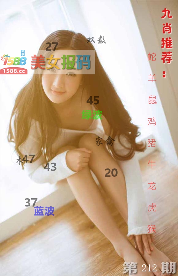 美女报码 第212期