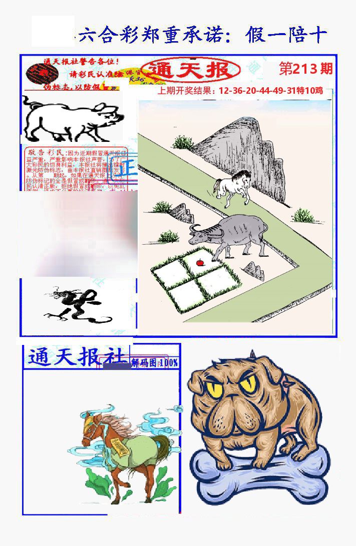 通天报 第213期