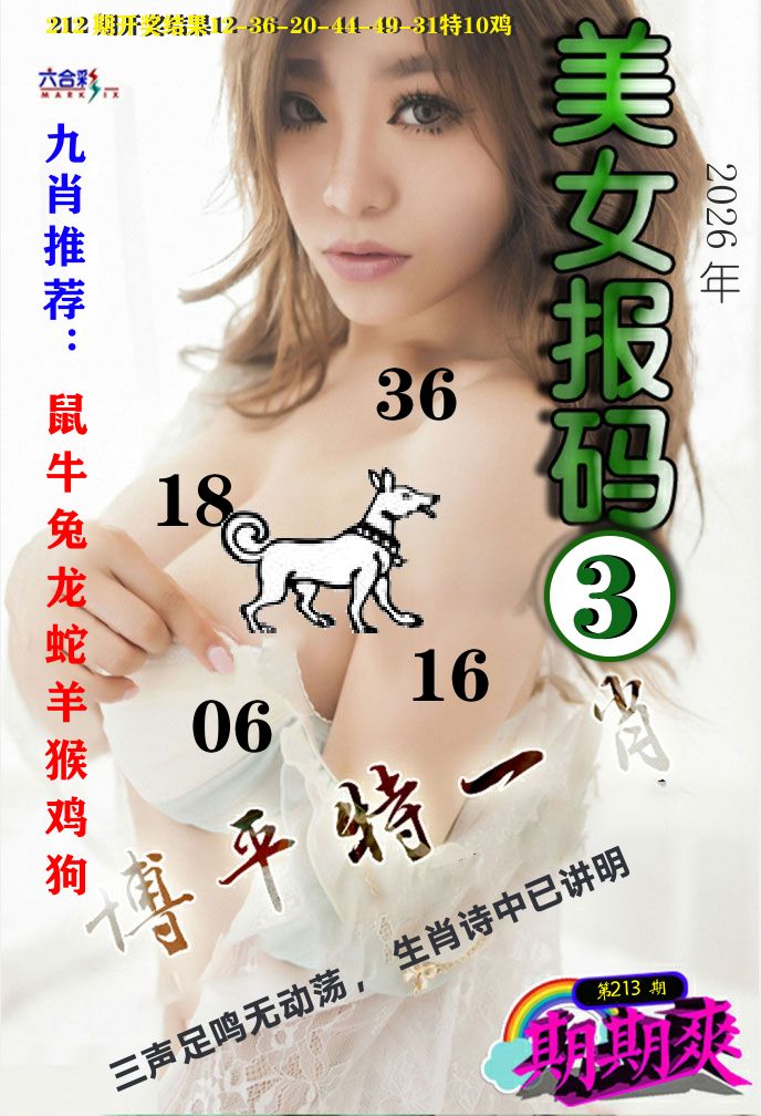 美女码报3 第213期