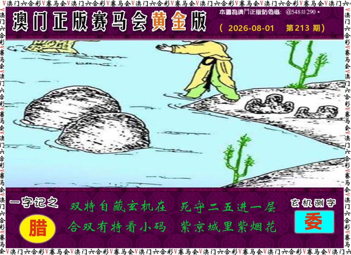 赛马会黄金版 第213期