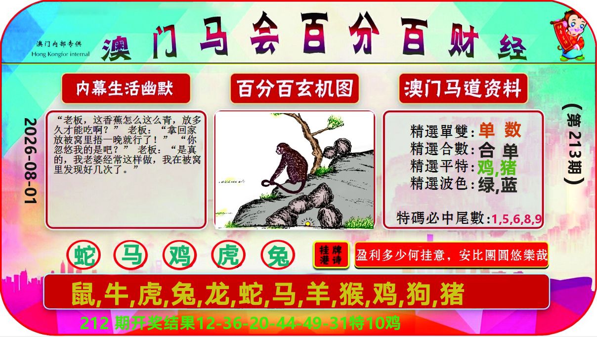 百分百财经 第213期