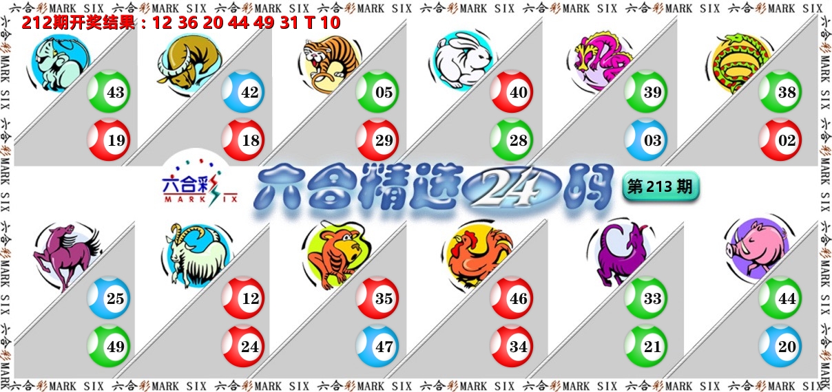 六合精选24码 第213期