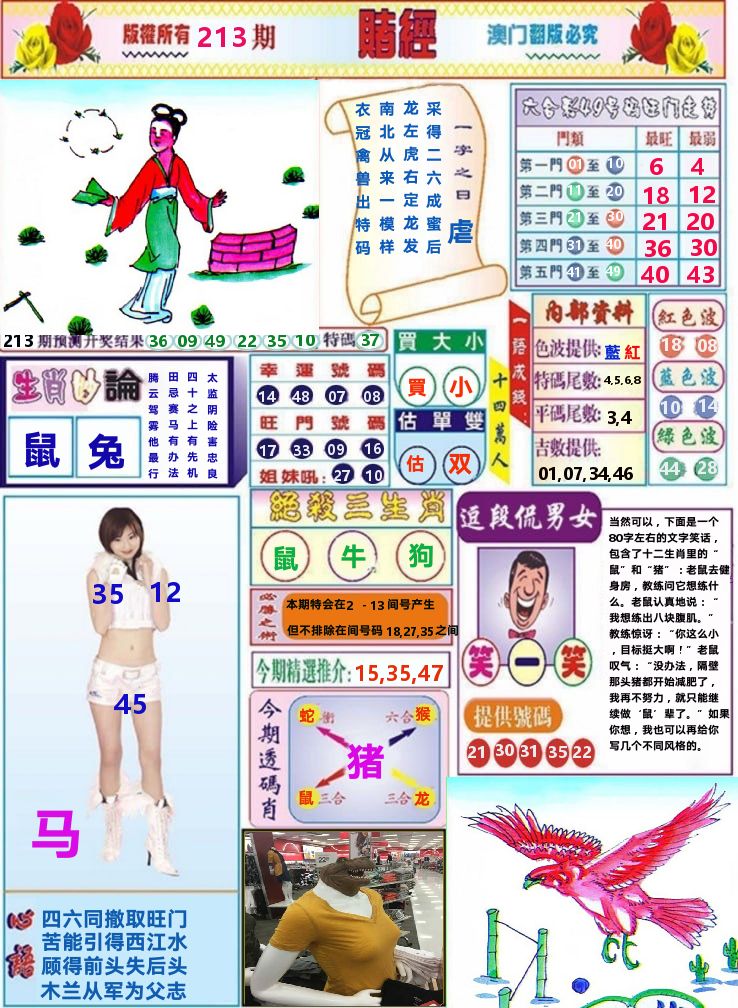 澳门赌经 第213期
