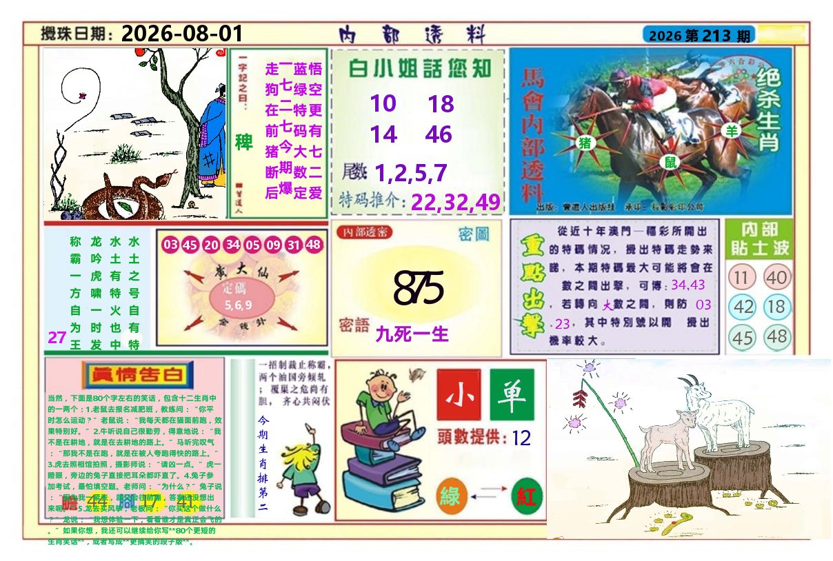 澳门内部透料A 第213期