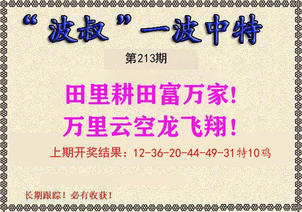 波叔中特 第213期