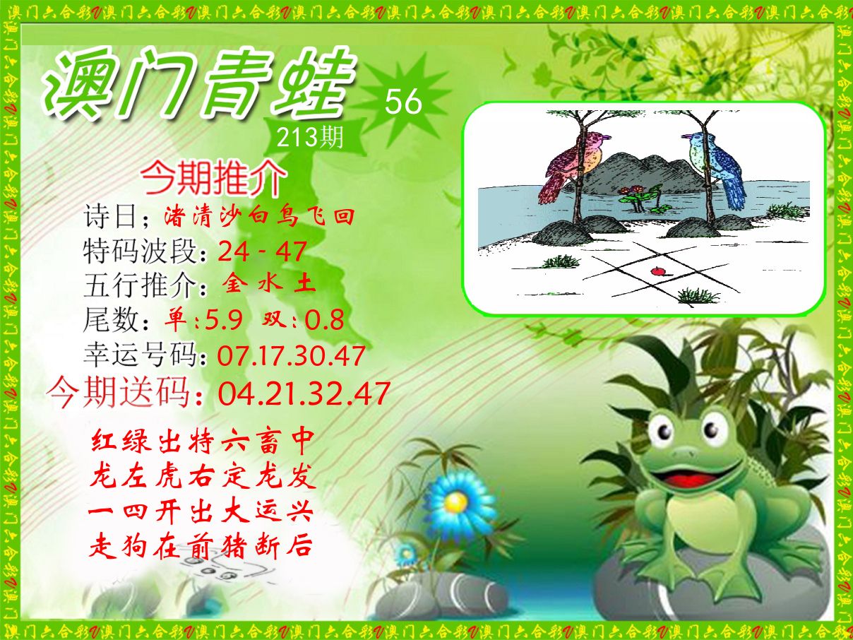 青蛙系列56 第213期