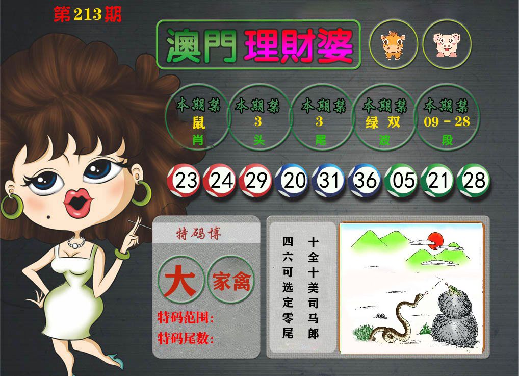 理财婆 第213期