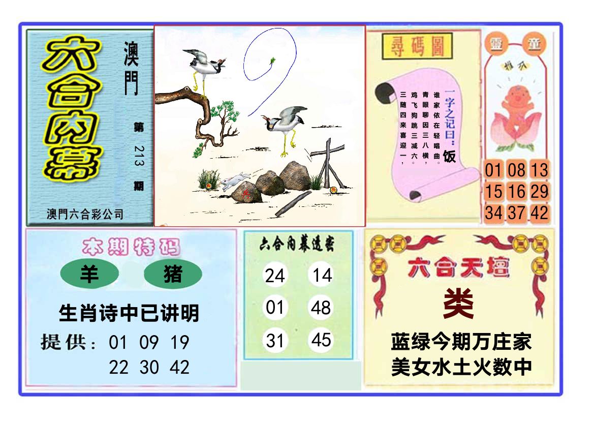 六合内幕 第213期