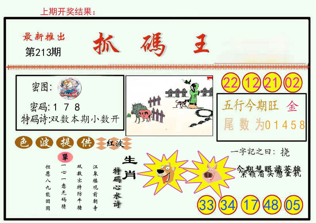 最新抓码王 第213期