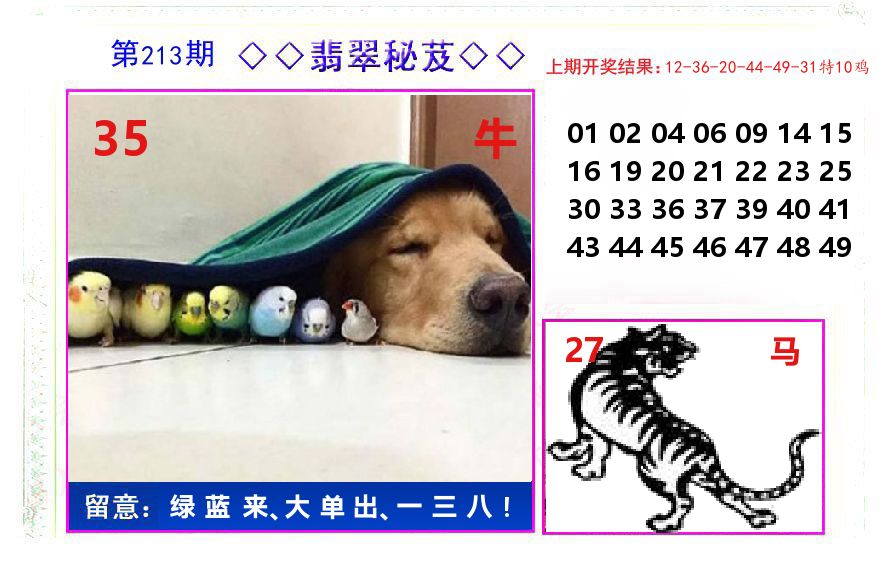 翡翠秘芨 第213期