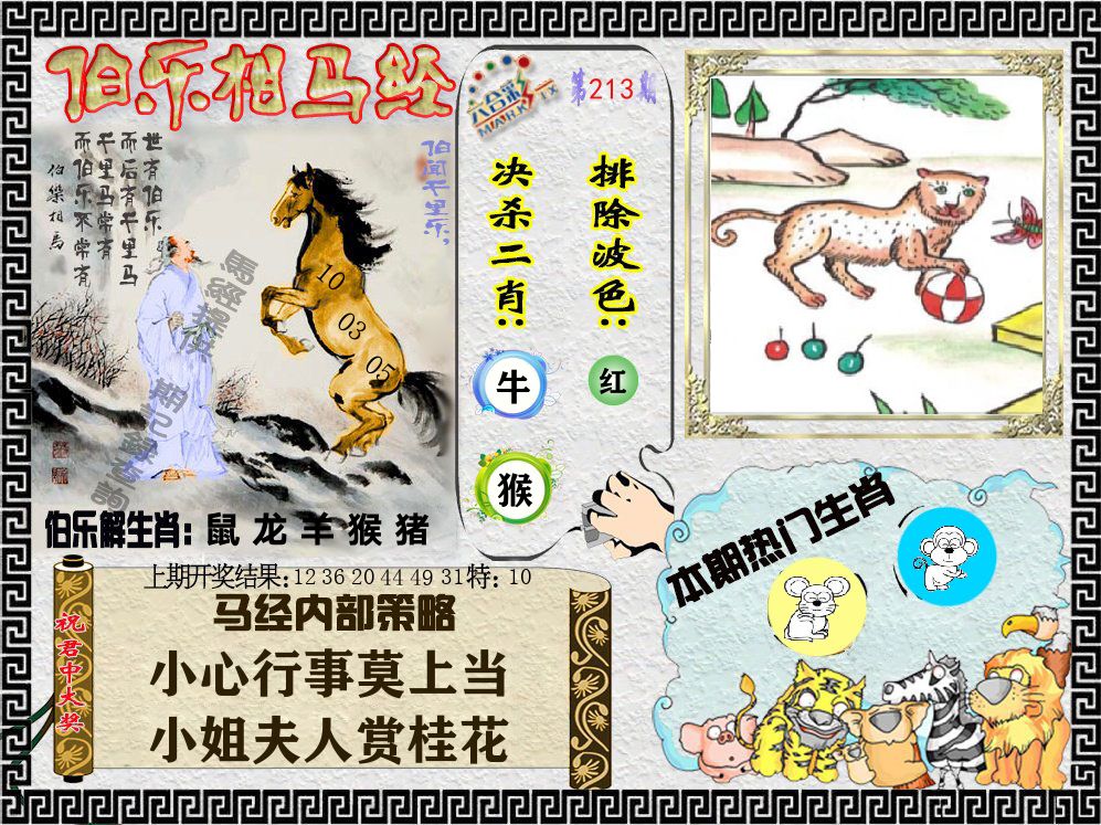 伯乐相马经 第213期
