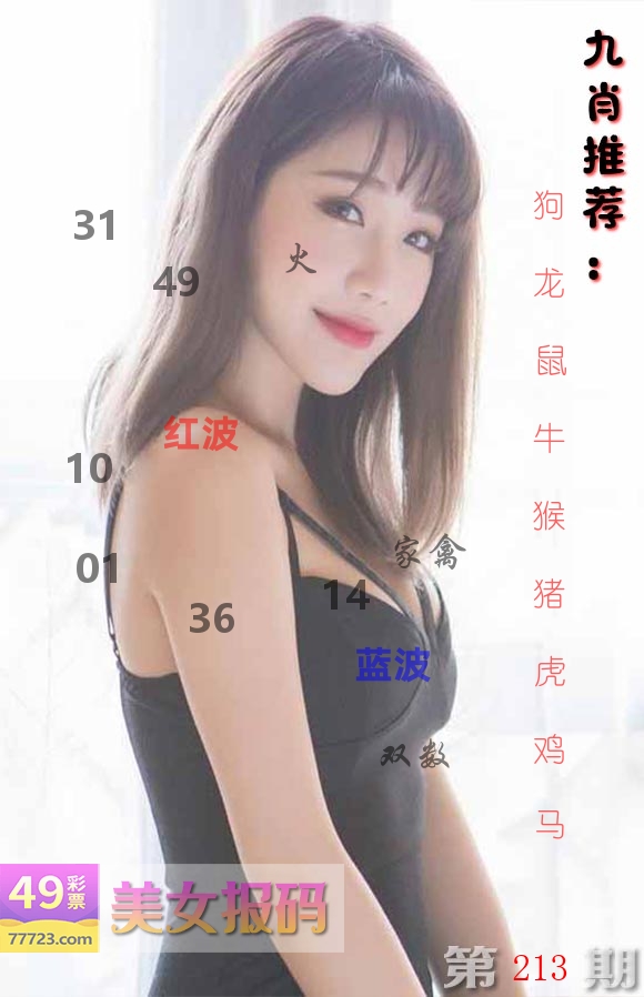 美女报码 第213期