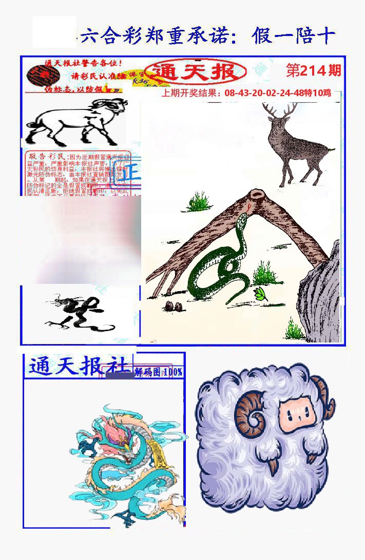 通天报 第214期