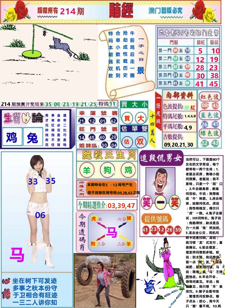 澳门赌经 第214期