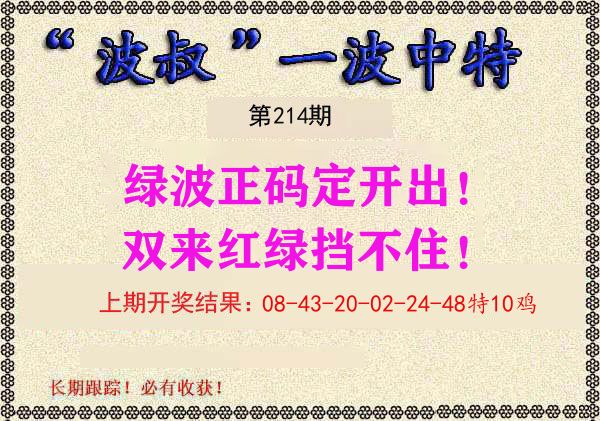 波叔中特 第214期