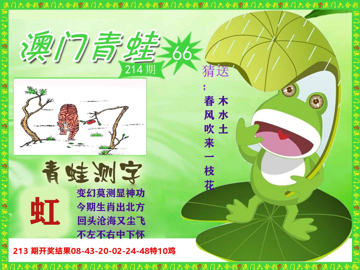 青蛙系列66 第214期