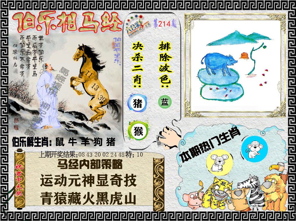伯乐相马经 第214期