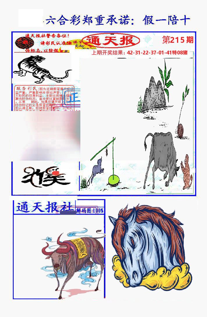 通天报 第215期
