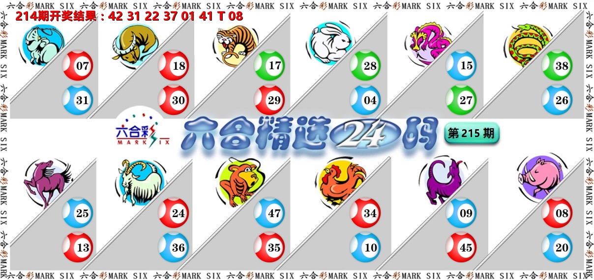 六合精选24码 第215期