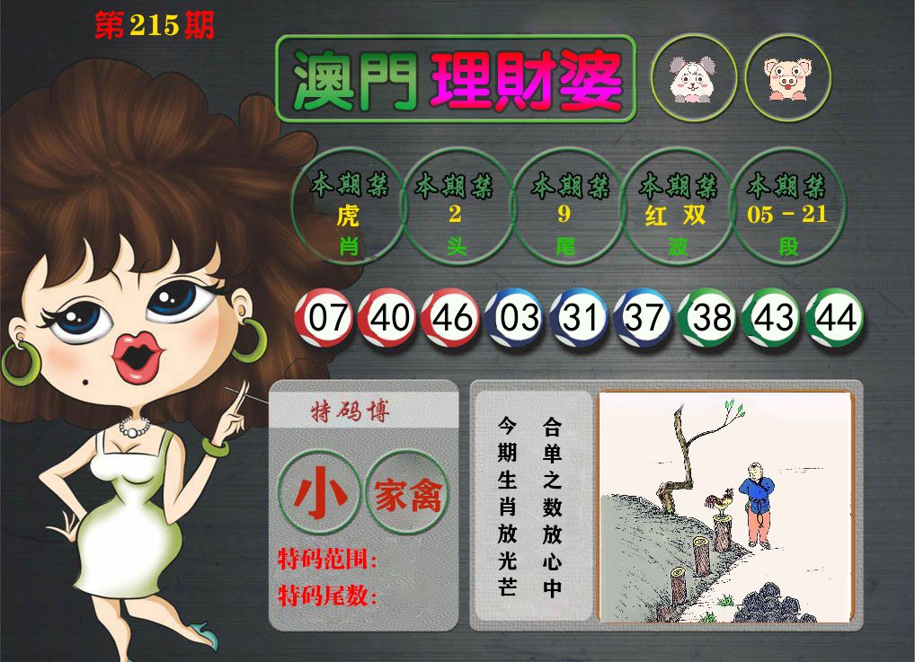 理财婆 第215期