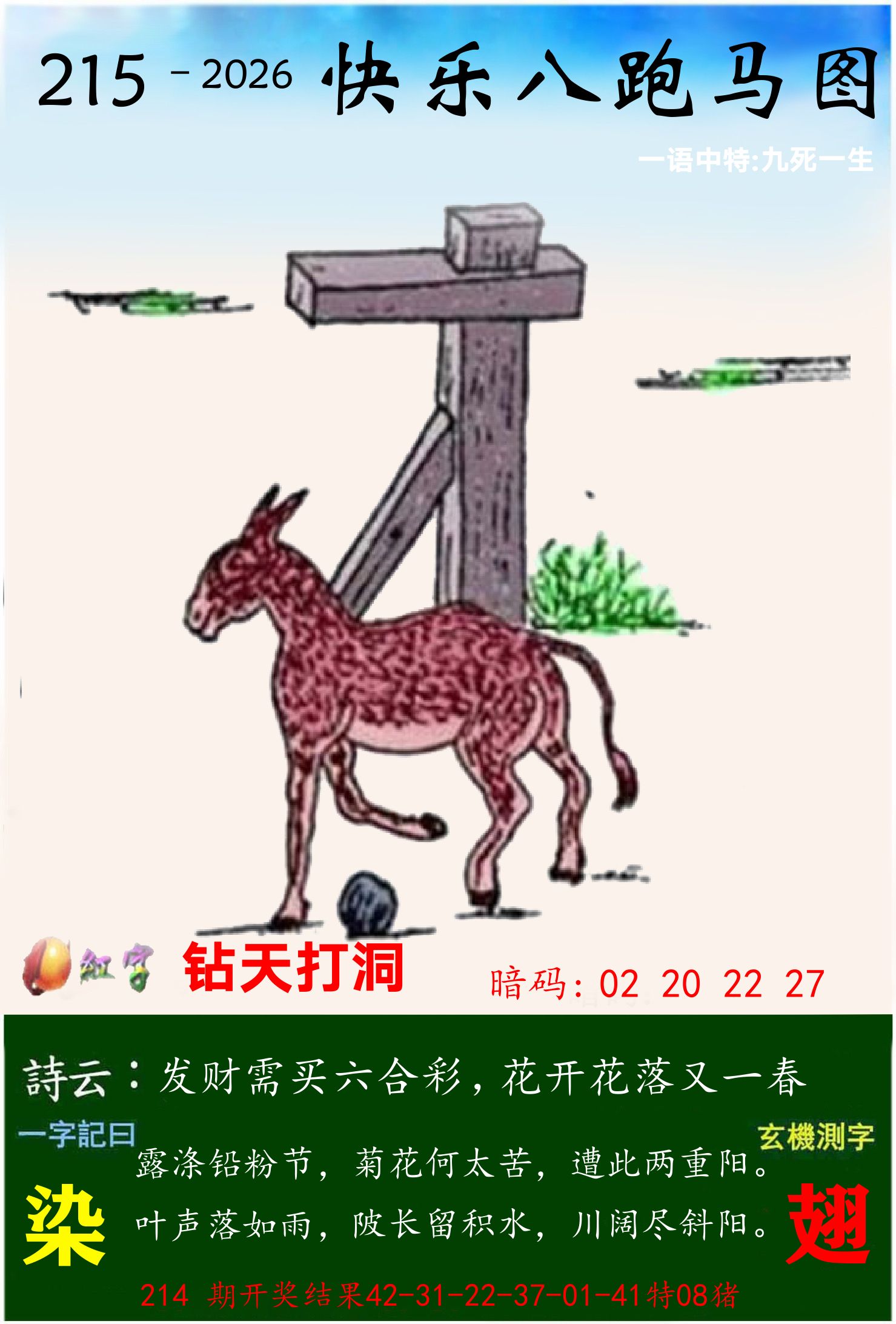 澳门跑马 第215期