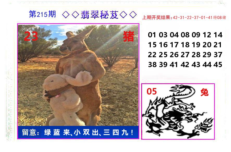翡翠秘芨 第215期
