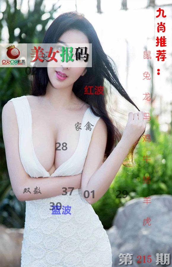 美女报码 第215期