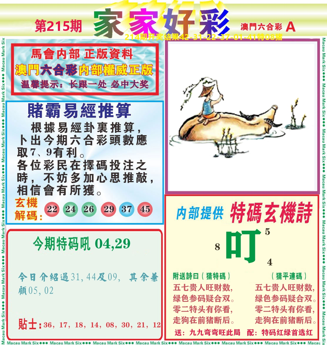 家家好彩A 第215期