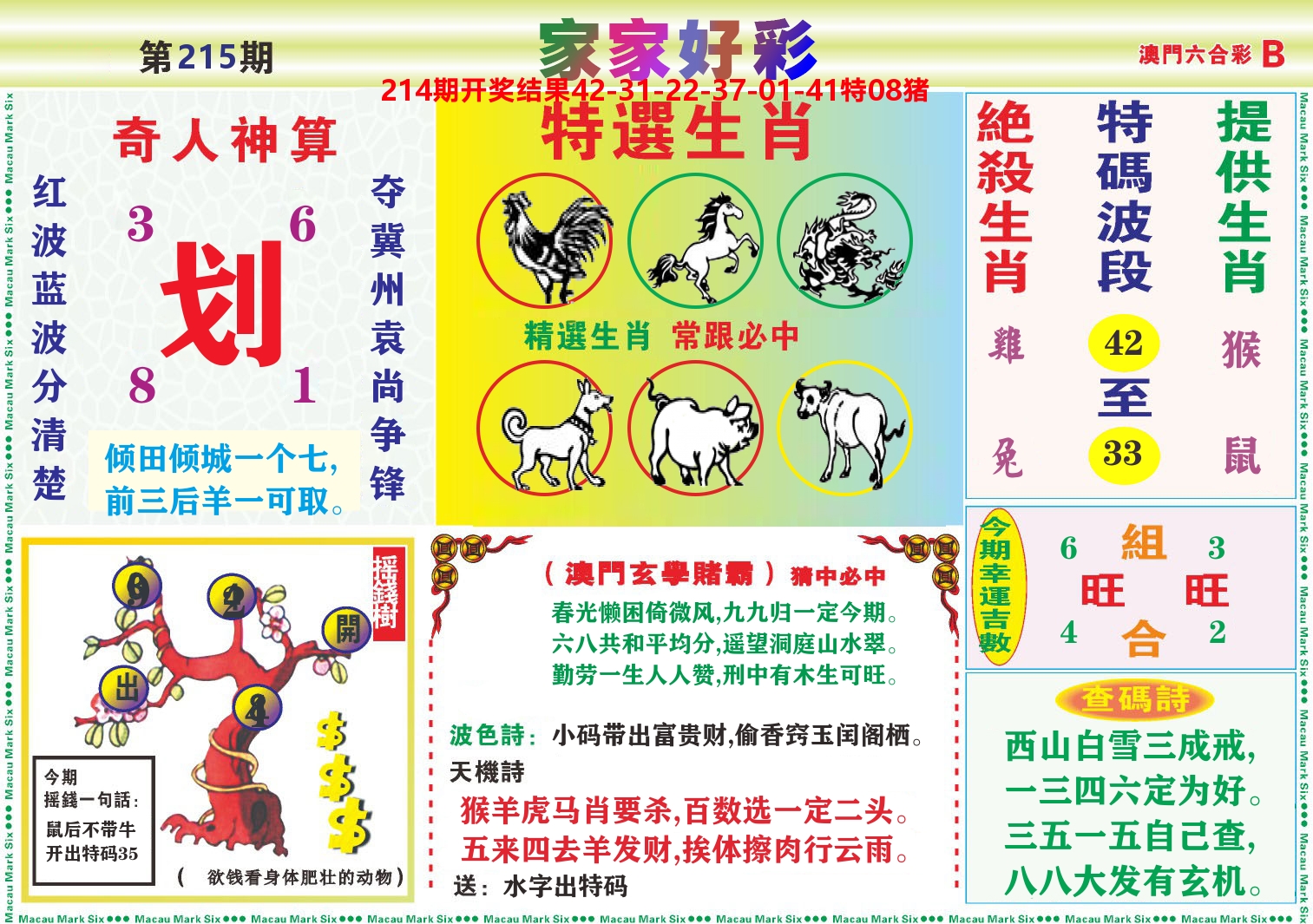 家家好彩B 第215期