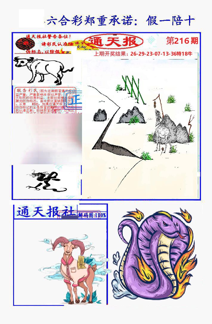 通天报 第216期