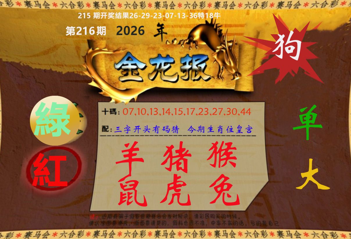 金龙报 第216期