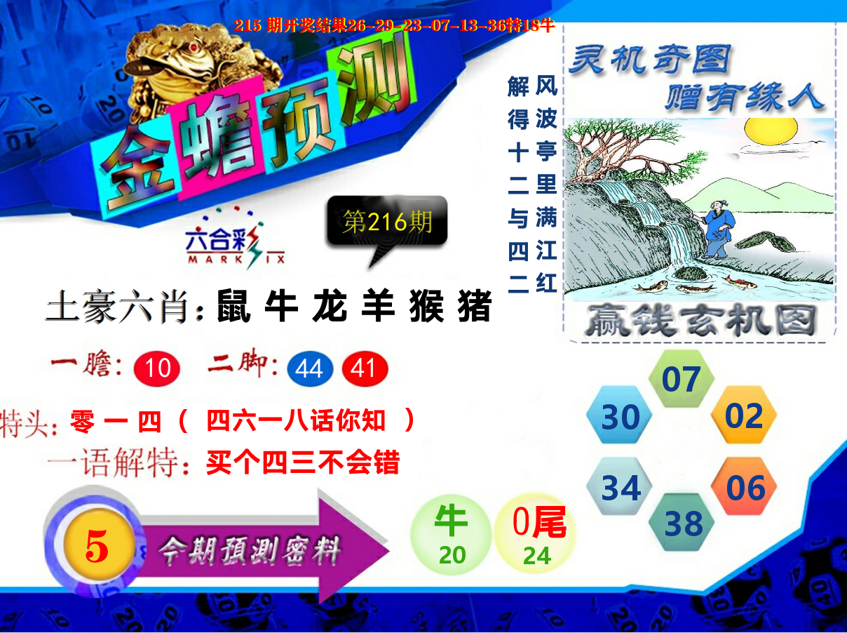 金蟾预测 第216期