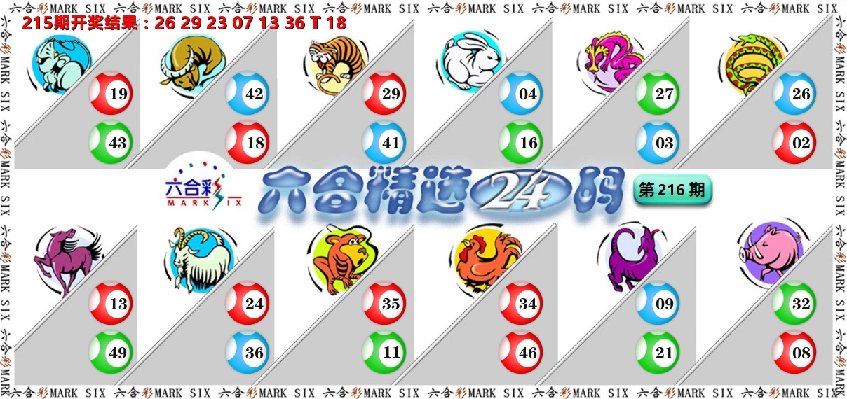 六合精选24码 第216期