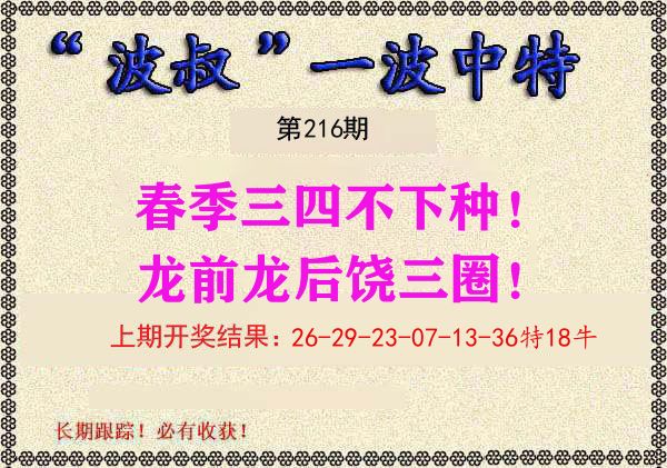 波叔中特 第216期