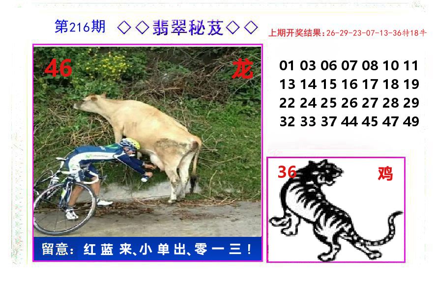 翡翠秘芨 第216期