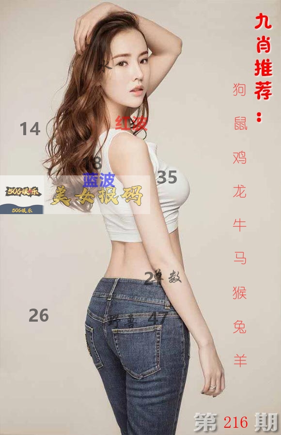 美女报码 第216期