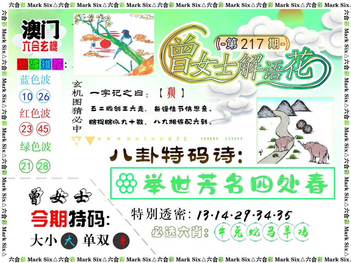 曾女士解语花 第217期