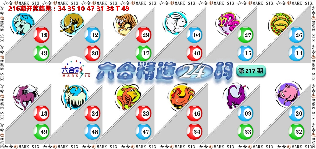 六合精选24码 第217期