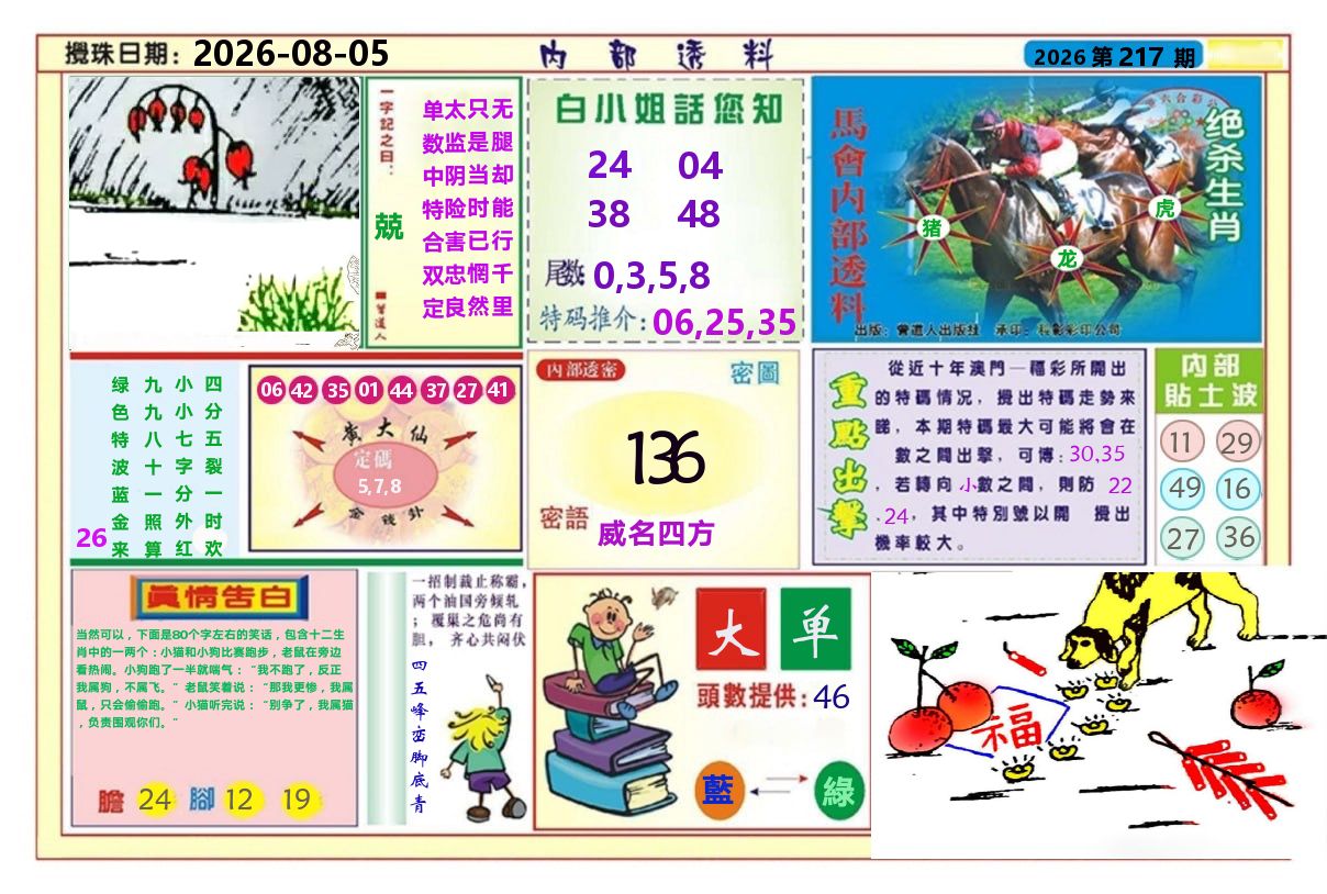 澳门内部透料A 第217期