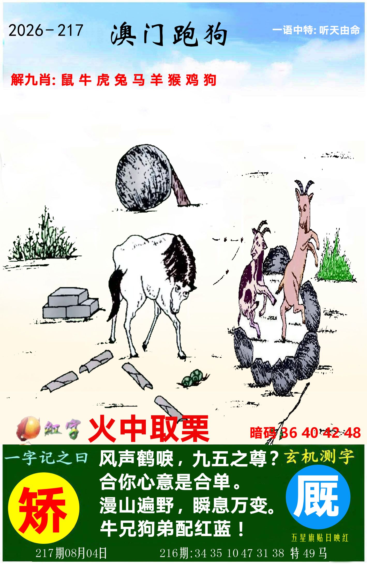 澳门跑狗图 第217期