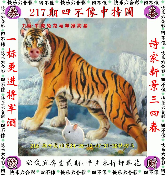 四不像 第217期
