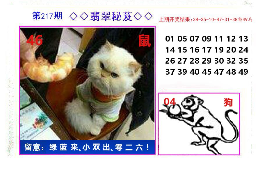 翡翠秘芨 第217期