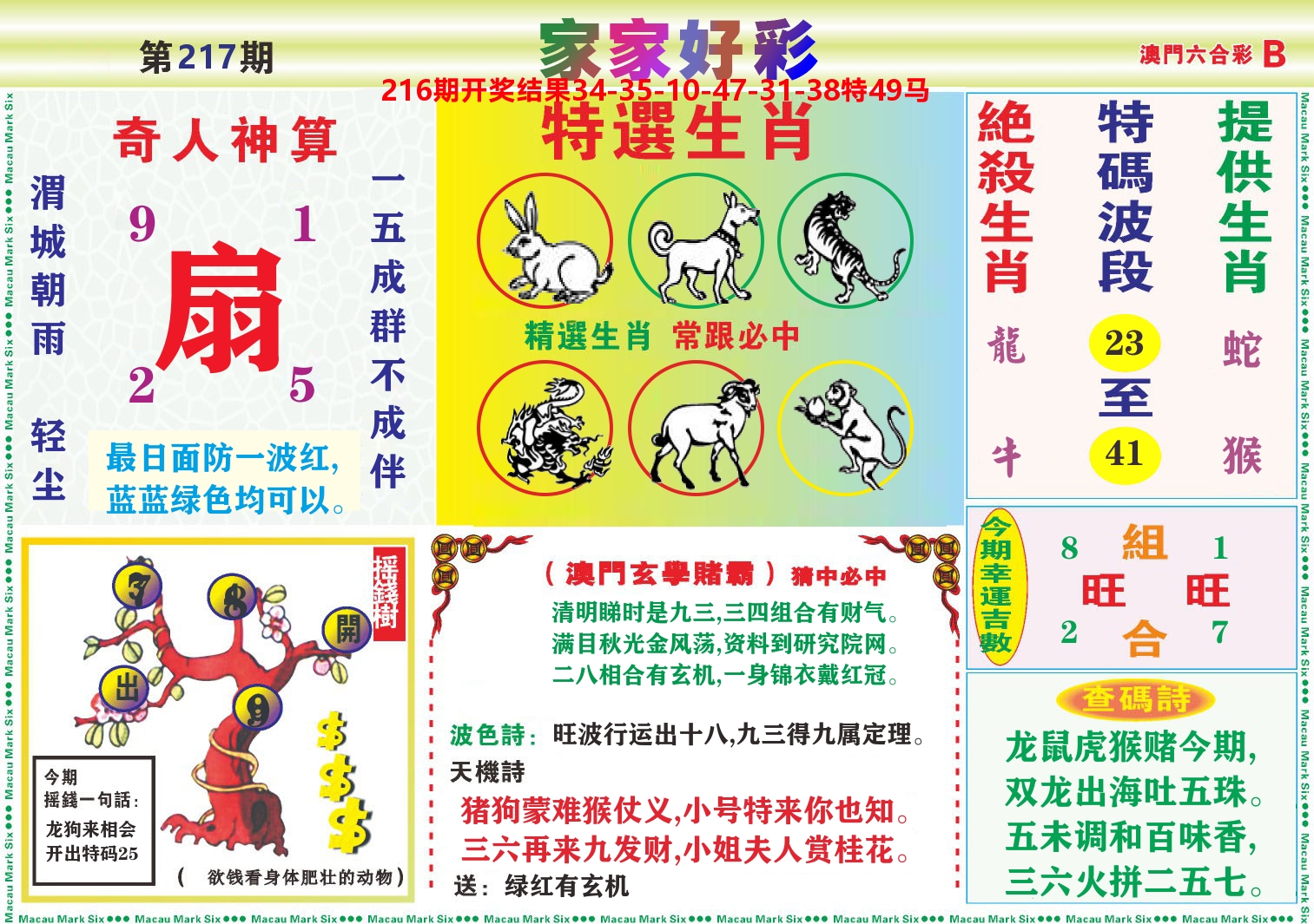 家家好彩B 第217期