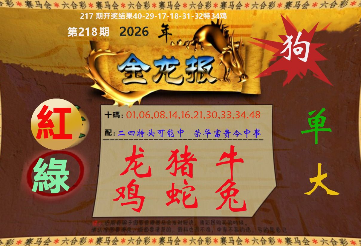 金龙报 第218期