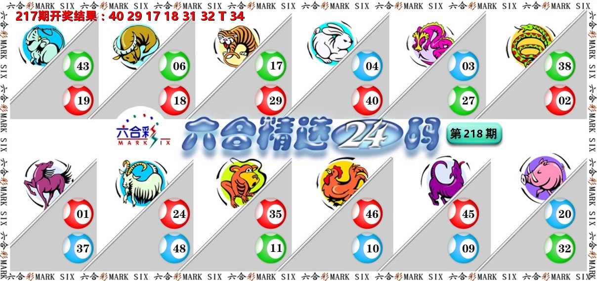 六合精选24码 第218期