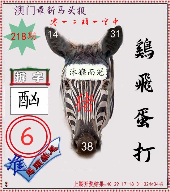 马头报 第218期